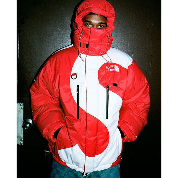 supreme north face 偽物 シュプリーム ノースフェイス ダウン S Logo ヒマラヤン 800フィルパワー