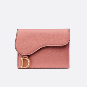 DIOR☆Saddle カードケース カーフスキン S5610CWVG