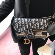 SS Dior 新作 ブルー SADDLE ディオール オブリーク ポシェット S5647CRI...