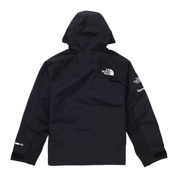 シュプリーム/ザ ノース フェイス アーク ロゴ マウンテン パーカ The North Face X SUPREME コピー Arc Logo Mountain Parka SS19 WEEK 5