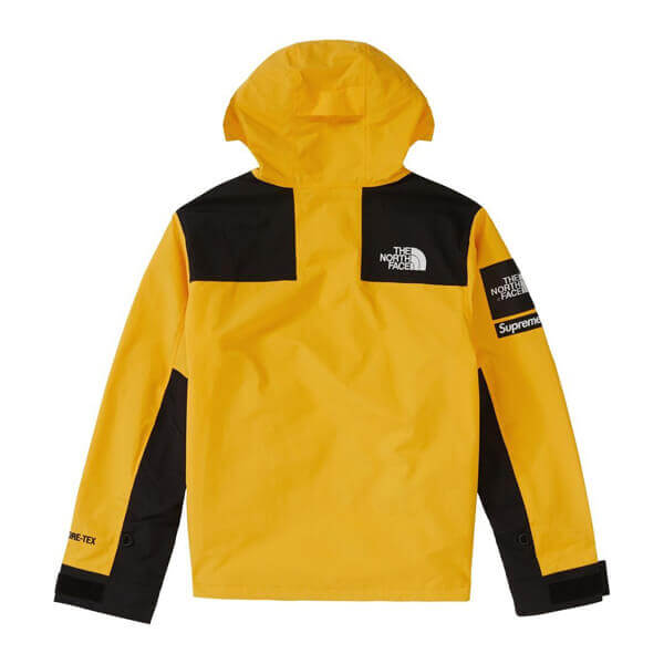 シュプリーム/ザ ノース フェイス アーク ロゴ マウンテン パーカ The North Face X SUPREME コピー Arc Logo Mountain Parka SS19 WEEK 5