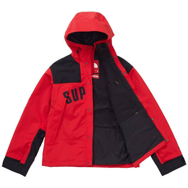 シュプリーム/ザ ノース フェイス アーク ロゴ マウンテン パーカ The North Face X SUPREME コピー Arc Logo Mountain Parka SS19 WEEK 5