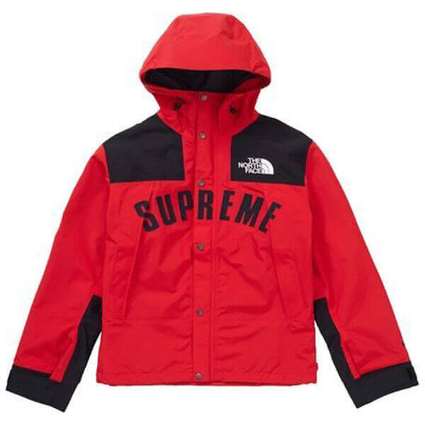 シュプリーム/ザ ノース フェイス アーク ロゴ マウンテン パーカ The North Face X SUPREME コピー Arc Logo Mountain Parka SS19 WEEK 5