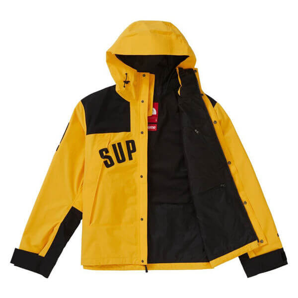 シュプリーム/ザ ノース フェイス アーク ロゴ マウンテン パーカ The North Face X SUPREME コピー Arc Logo Mountain Parka SS19 WEEK 5