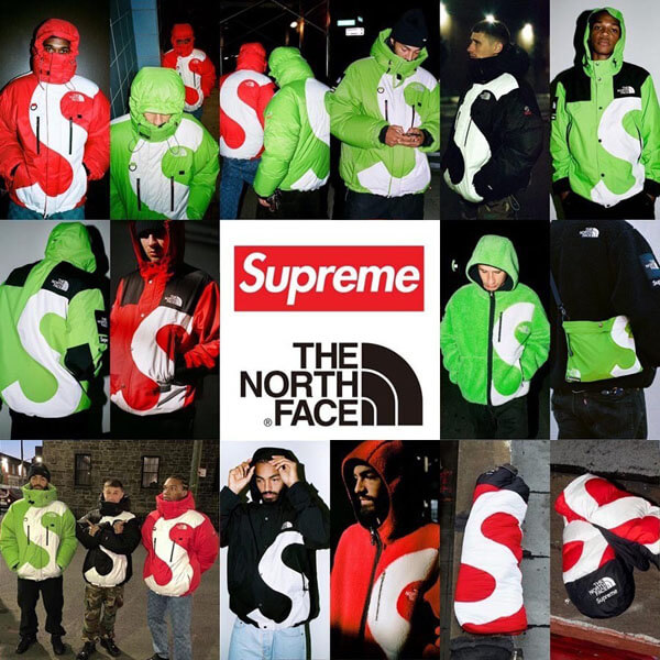 supreme north face 偽物 シュプリーム ノースフェイス ダウン S Logo ヒマラヤン 800フィルパワー